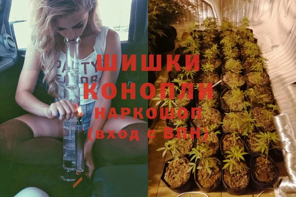 амфетамин Гусев